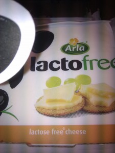 Lactose free cheese