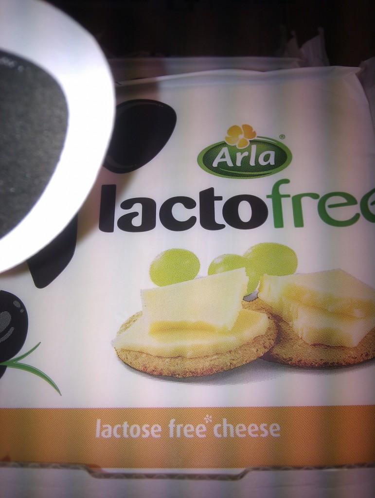 Lactose free cheese