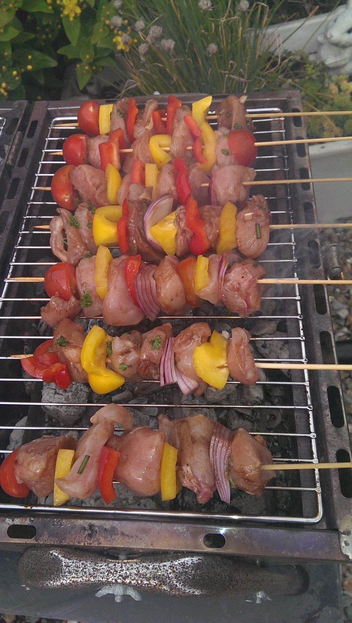 Chicken Shish kebabs on barbeque