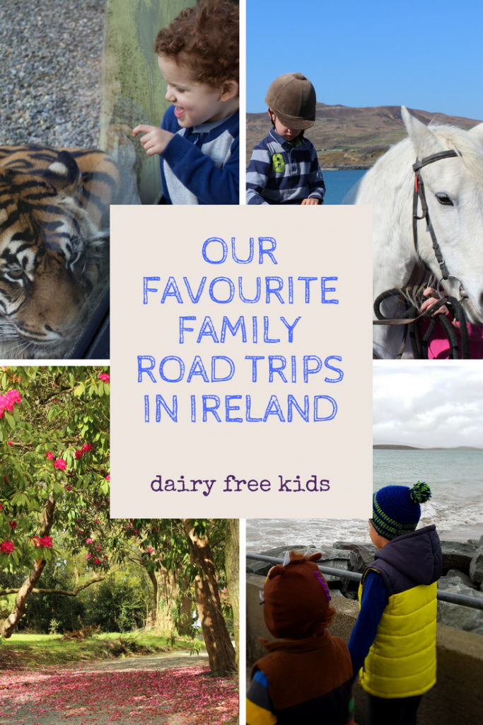 family day trips ireland